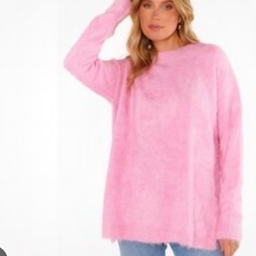Show Me Your MuMu Soft Pink Crew Neck Sweater - Picture 9 of 10